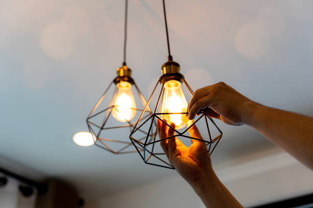 Best Ceiling Fan Installation Electrician  in Trumansburg, NY
