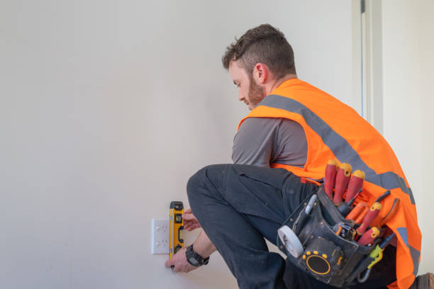 Best Local Electrician Companies  in Trumansburg, NY