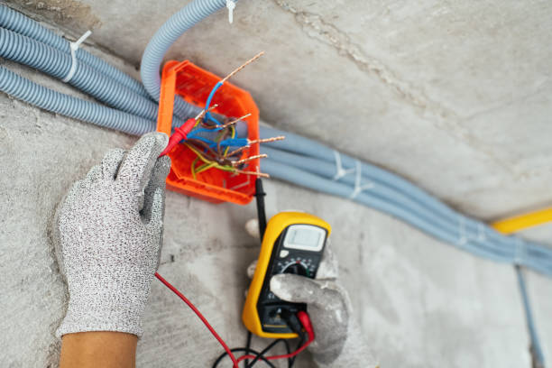 Best Electrical Upgrades for Homes  in Trumansburg, NY