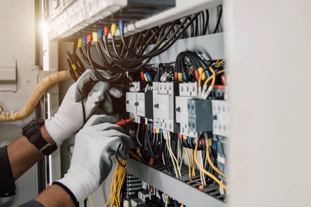 Best Electric Panel Repair  in Trumansburg, NY